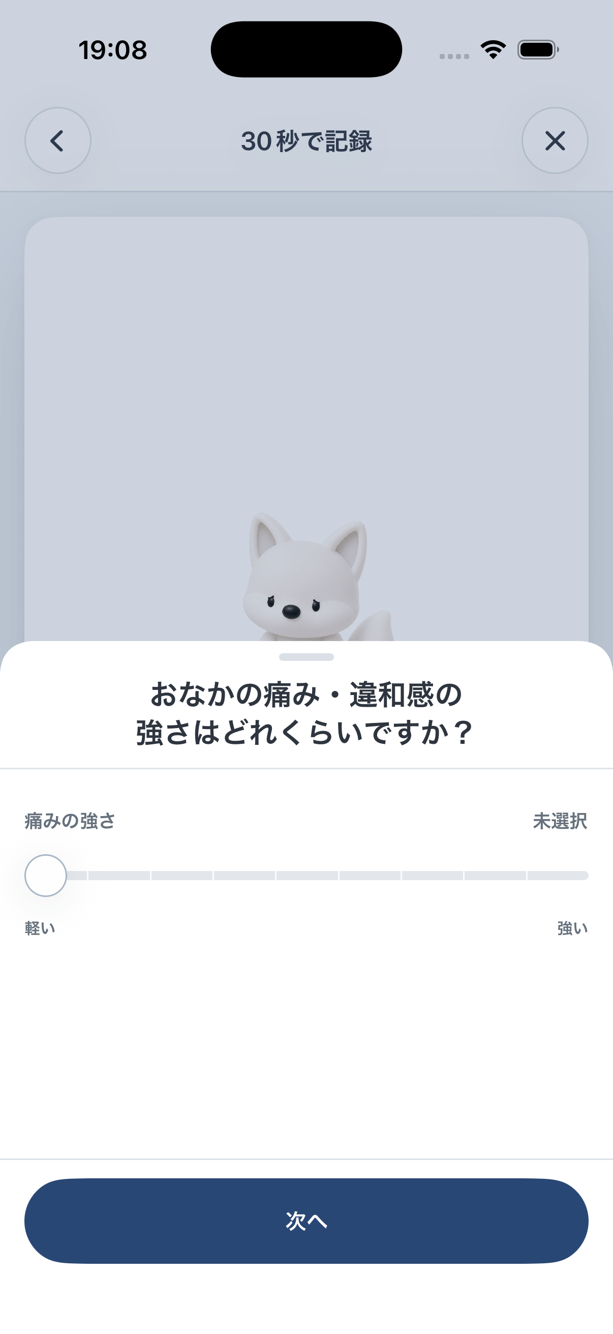 MECOLETTEの痛みの強さ入力シート